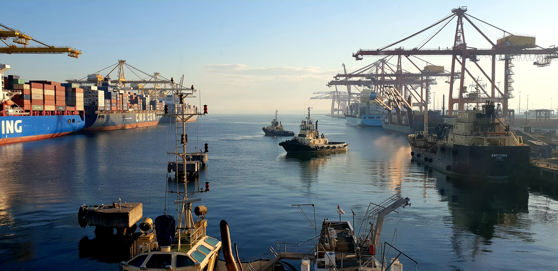 Two tugs and a number of container ships and tankers on the water at Port Botany