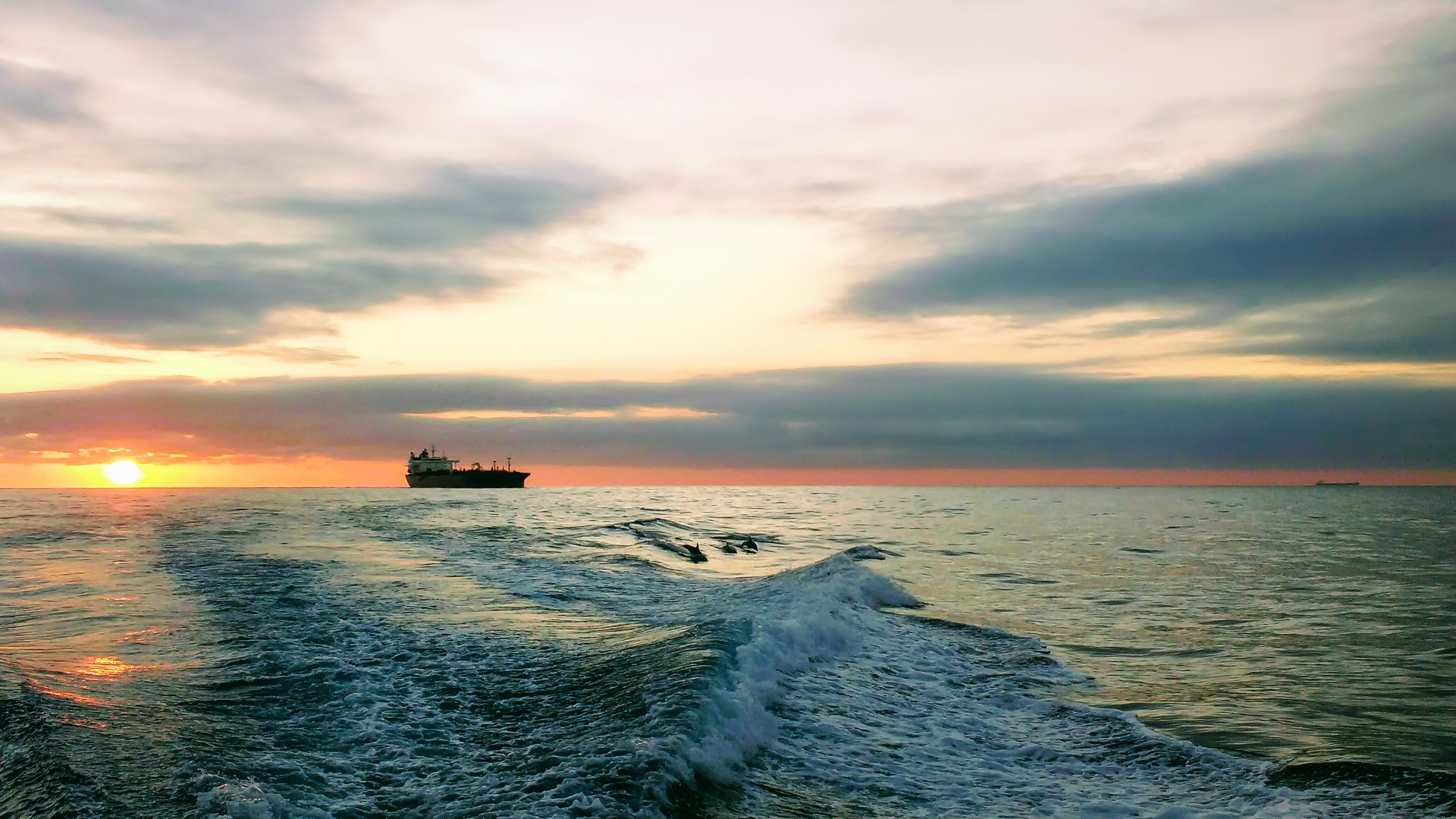 Open water at sunrise with three dolphins seen in the foreground with a vessel further at sea