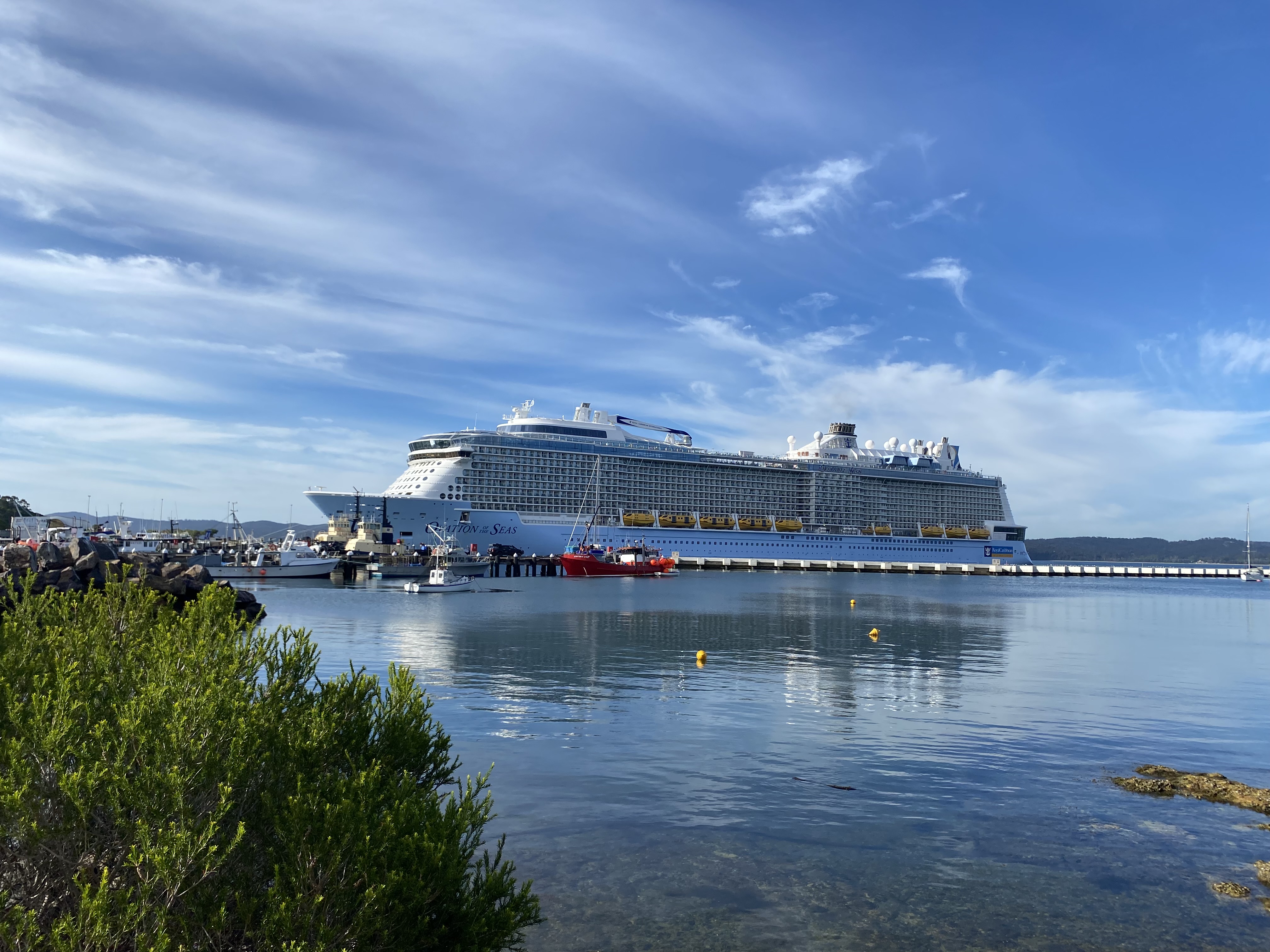 Ovation of the Seas berths at Eden Cruise Wharf on its maiden call