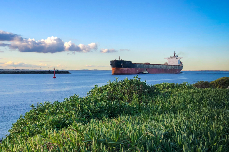 New fuel-efficient tugs on order for Newcastle Harbour