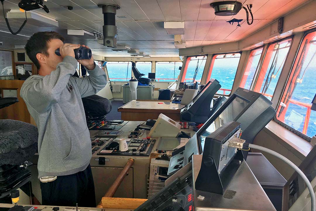 Port Authority of New South Wales on the lookout for Deck Cadets