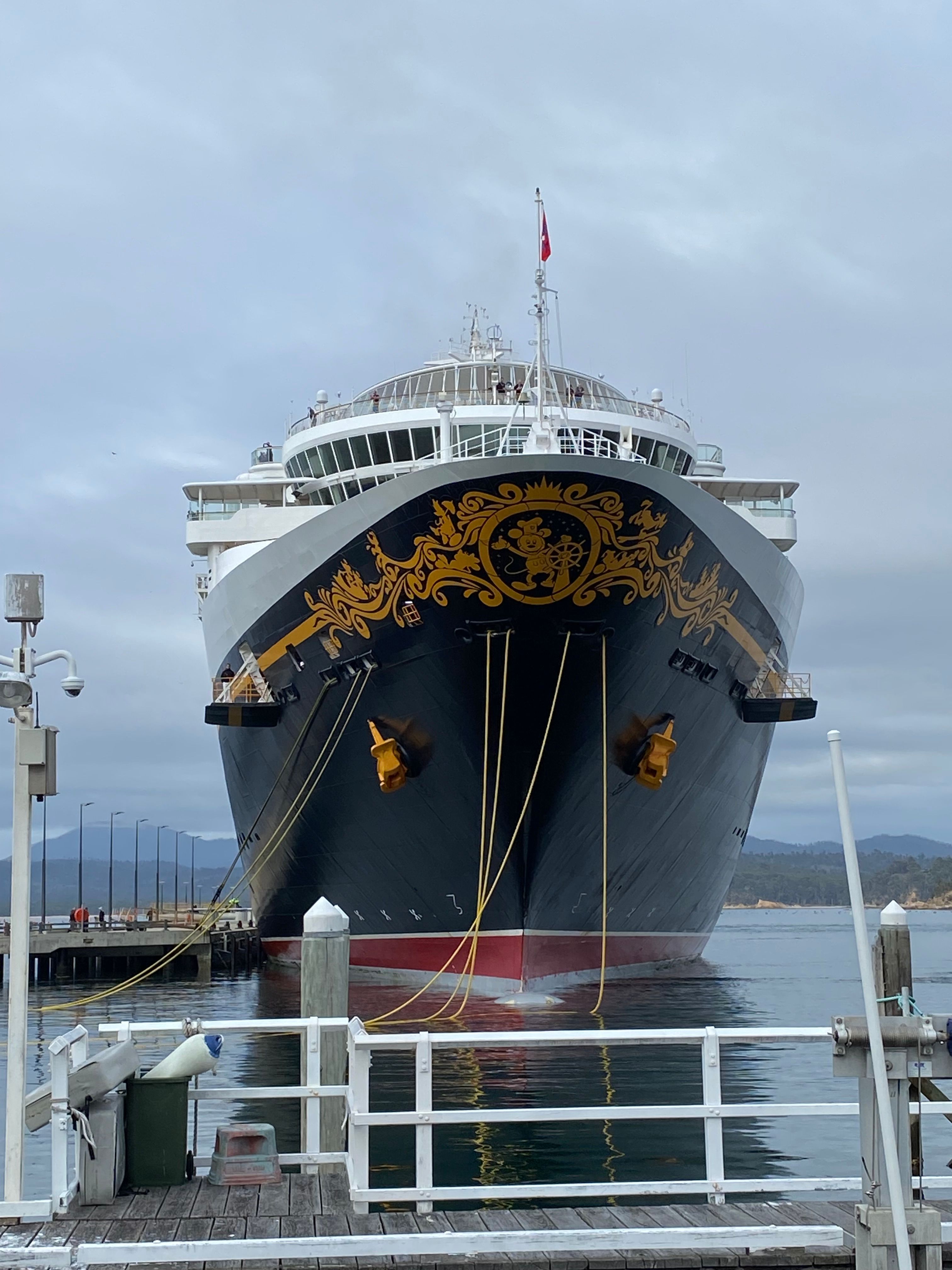 Biggest cruise ship to dock in Eden