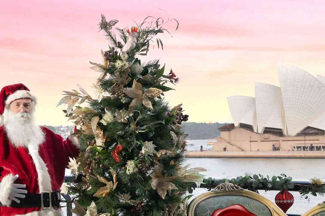 Snap your festive photos with Santa from the best seat in Sydney