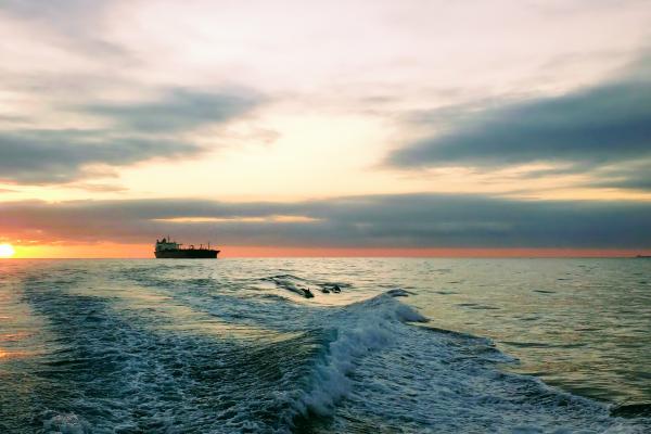 Open water at sunrise with three dolphins seen in the foreground with a vessel further at sea