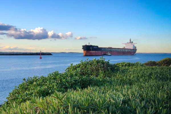 New fuel-efficient tugs on order for Newcastle Harbour