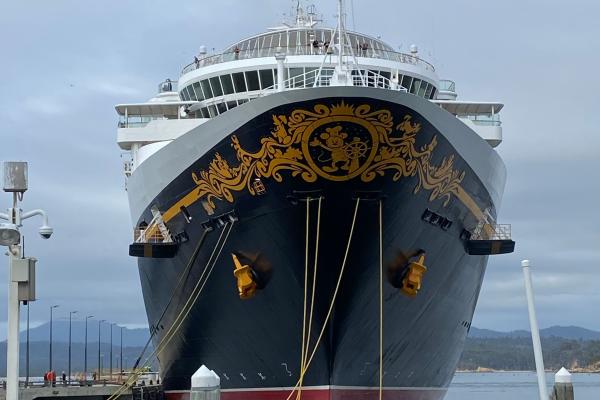 Biggest cruise ship to dock in Eden