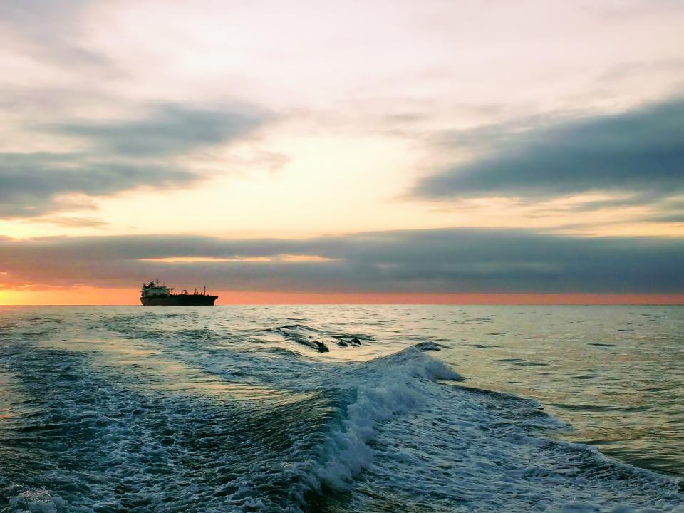 Open water at sunrise with three dolphins seen in the foreground with a vessel further at sea