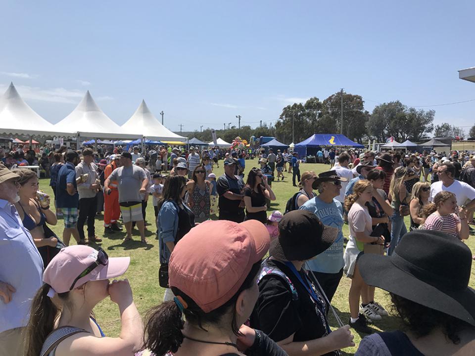 Eden Whale Festival stall