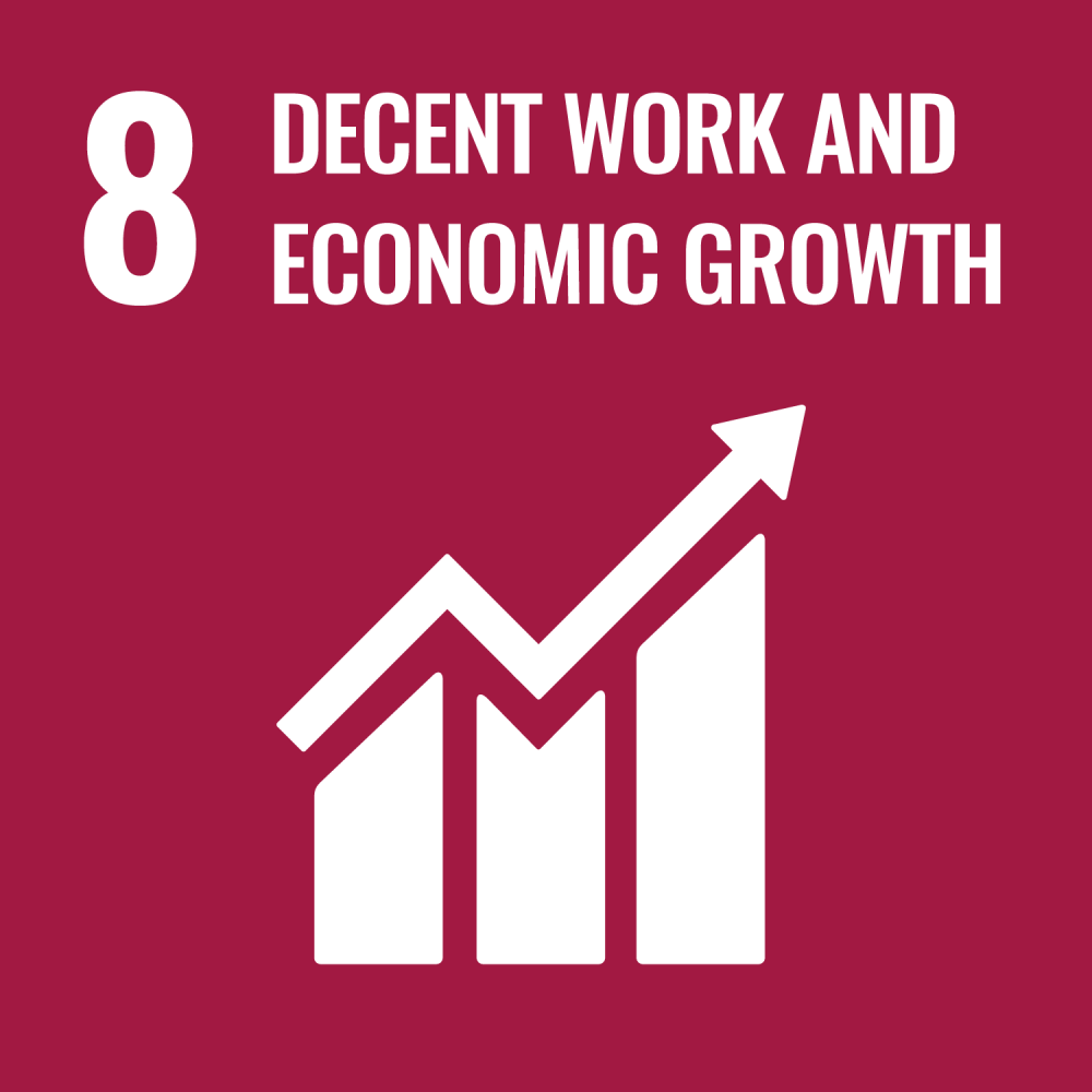 Sustainable Development Goal 8 decent work and economic growth