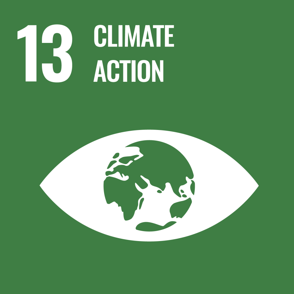Sustainable Development Goal 13 climate action
