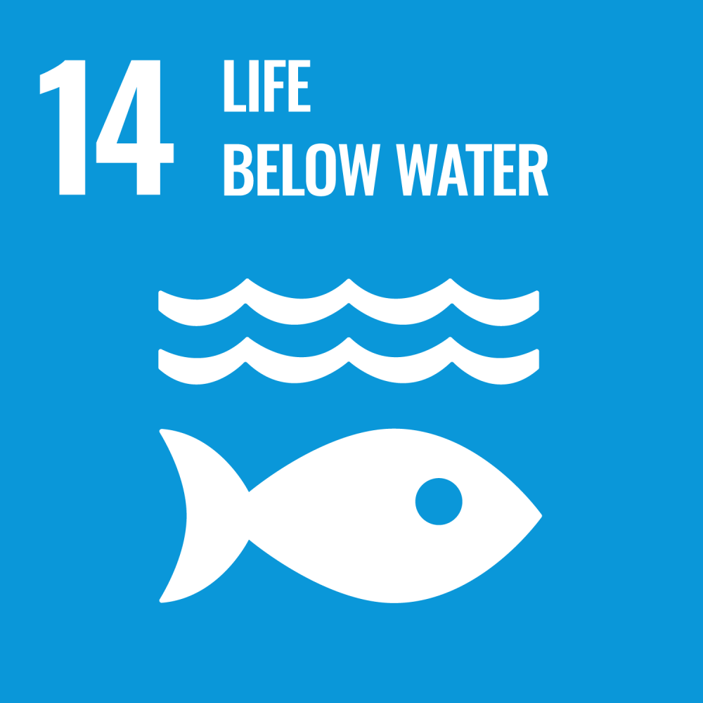 Sustainable Development Goal 14 life below water