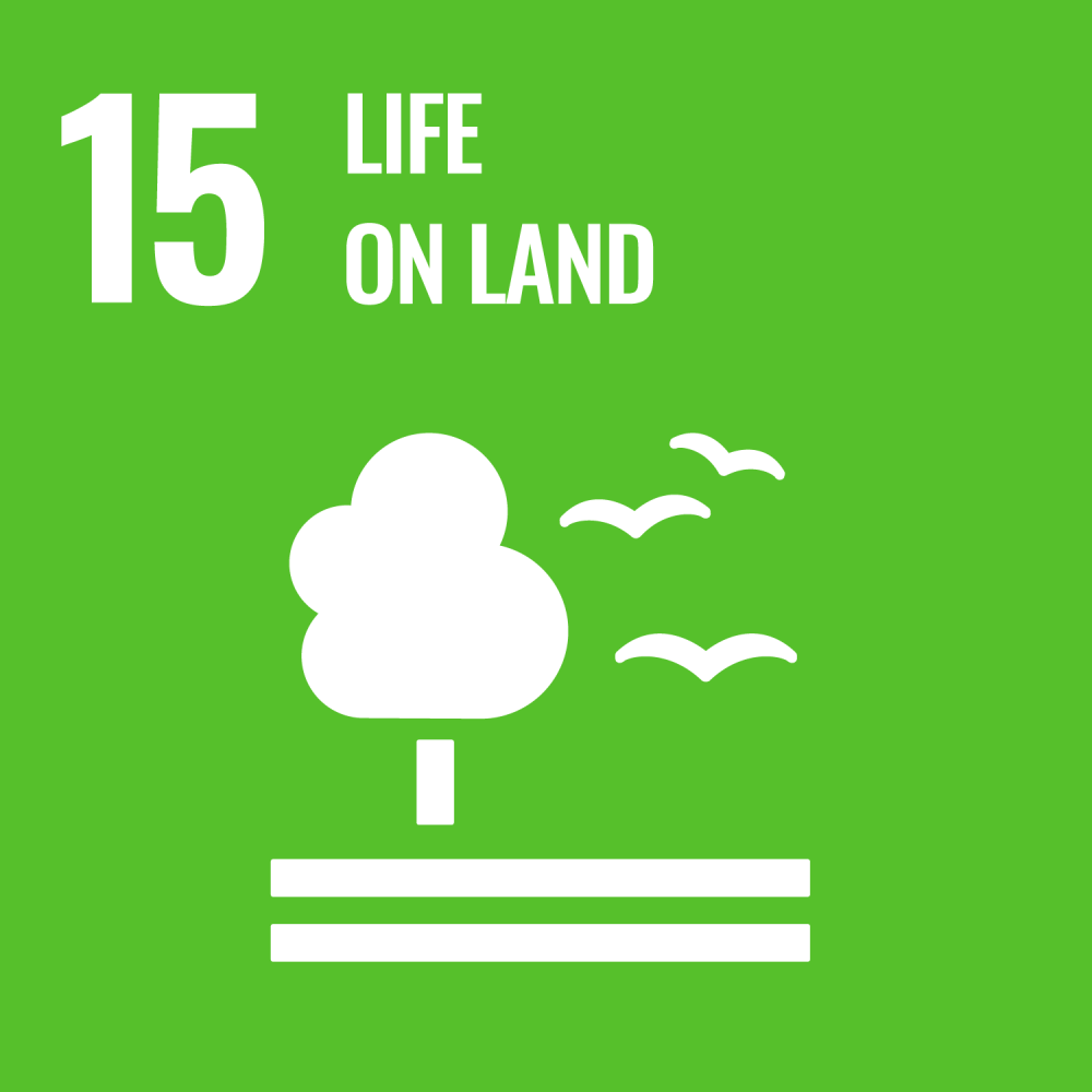 Sustainable Development Goal 15 life on land