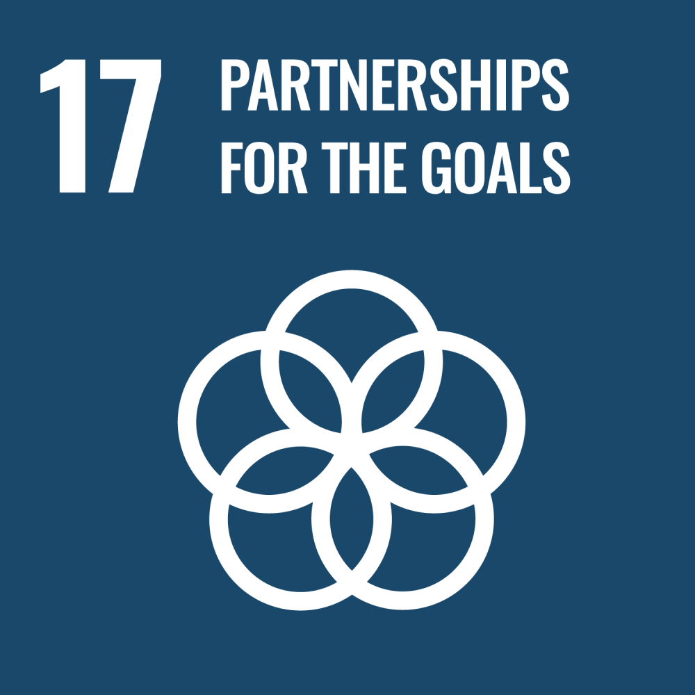 Sustainable Development Goal 17 partnerships for the goals