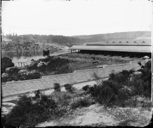 Glebe Island Abattoir 
