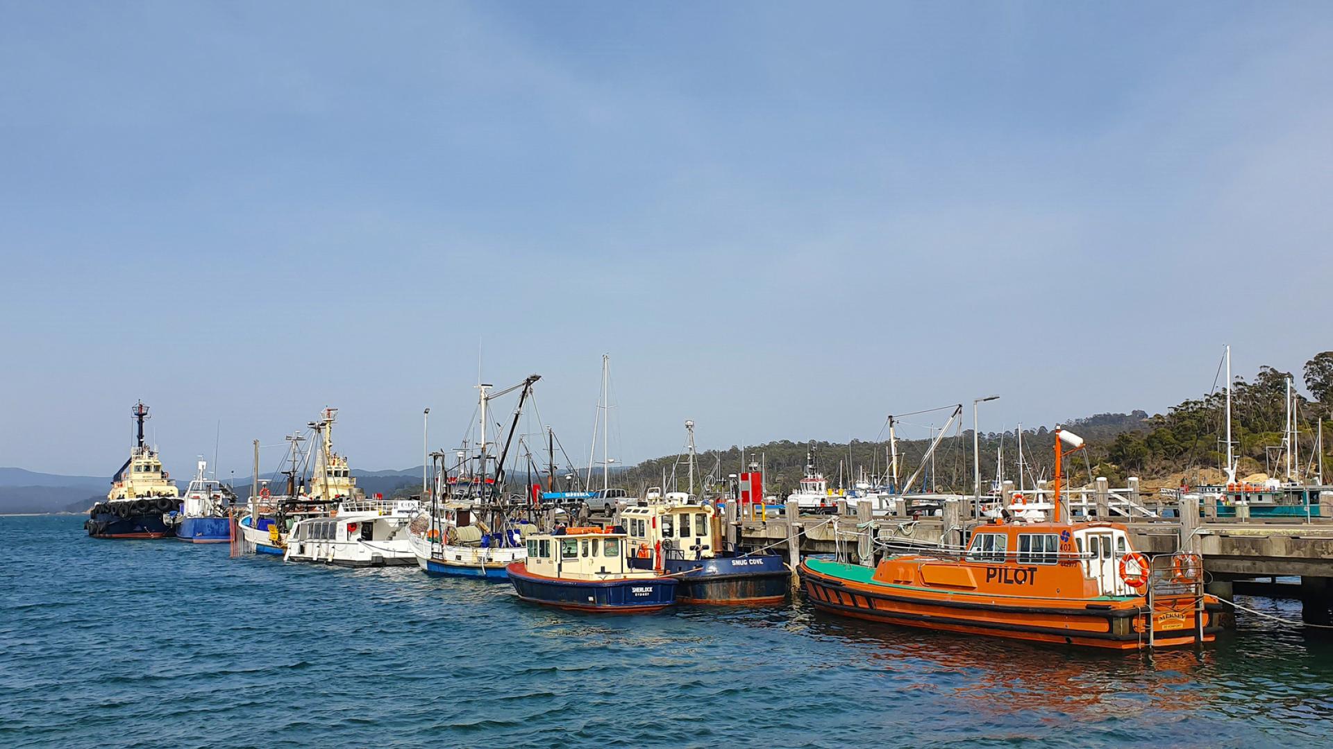 Port Authority pilot vessel berthed at Port of Eden with other vessels