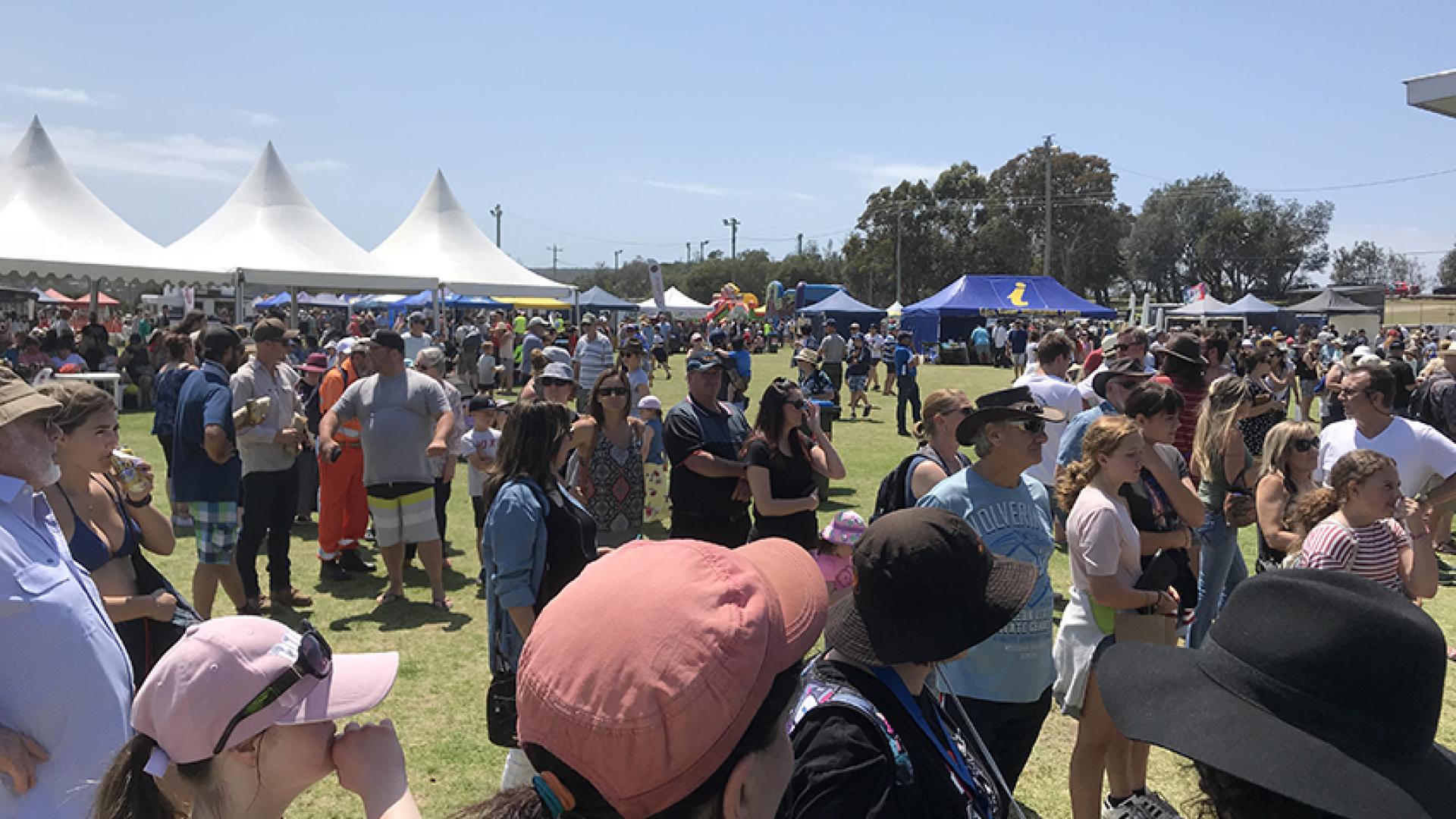 Eden Whale Festival stall