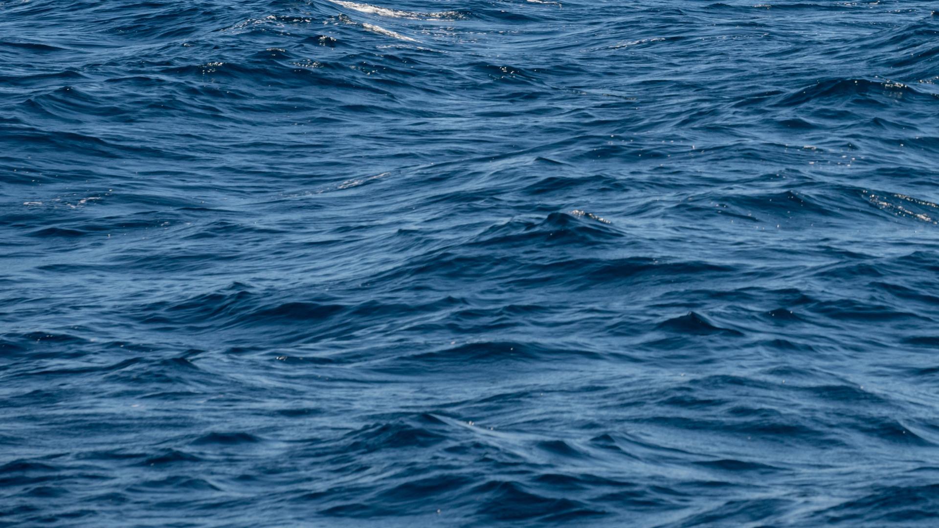 Water and waves at Port Botany